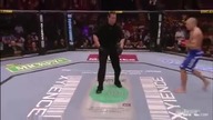 UFC 79: George Saint Pierre vs Matt Hughes