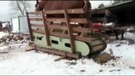 Ile koni mechanicznych ma koń ?