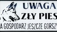 śmieszne foty i muza