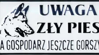 śmieszne foty i muza
