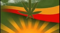 20 polskich reggae- dla Ciebie Takumi :)