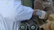 Prawdziwe oblicze Putina - cały film dokumentalny - Lektor PL