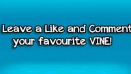 Best Dog VINE Compilation