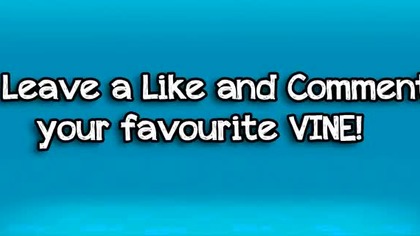 Best Dog VINE Compilation