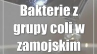 Bakterie z grupy coli w zamojskim wodociągu