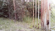 Monitor (1) - Dojrzewająca rdza, 18. 07. 2020, Suwałki.