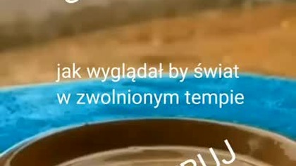świat w zwolnionym tępie jak wygląda