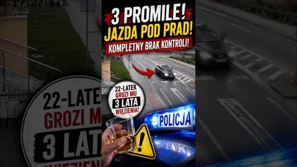 3 promile i jazda pod prąd  #shorts #polskiekierowcy #policja