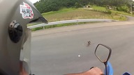 Motocyklista ratuje małego pieska z publicznej drogi