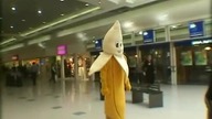 Remi Gaillard Banan