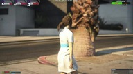 GTA RP DEV HARDCORE #nażywo
