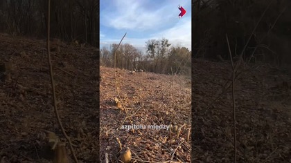 Co dokładnie się wydarzyło i co zmieni się w mieście  w dzisiejszym skrócie newsów.  