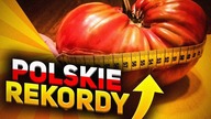 NAJDZIWNIEJSZE POLSKIE REKORDY! *dziwaczne*