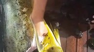 Natura bywa okrutna