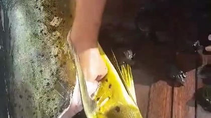 Natura bywa okrutna