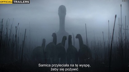 Czego nie wiemy o dinozaurach (2026) S01E03. (4/5)1080p PL