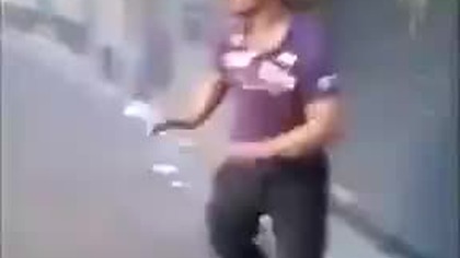 Idiota konta kosz