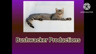 Bushwacker Productions Logo History