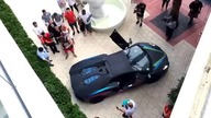 Lamborghini vs żywopłot 