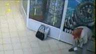 Baba zesrała sie w markecie