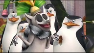 Pingwiny z Madagaskaru - Jestem szczurem