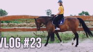 UKRADŁAM MAJCE KONIA!   Vlog #23
