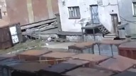 Niedźwiedź polarny atakuje kobietę