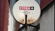 CYFRA PLUS ROZMOWA