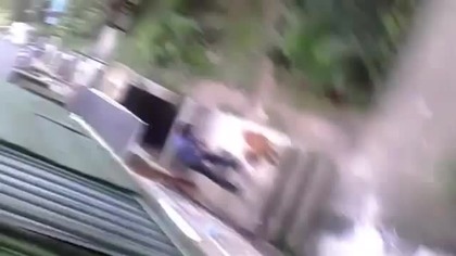 Spacer z psem po pijanemu
