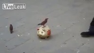Zbieranie datków na ulicy level pro