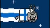 NYan cat