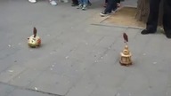 Nauczył ptaki  żebractwa