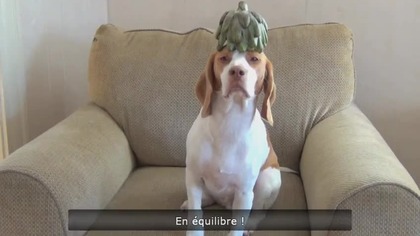 Le Zap de Spi0n n&deg;231