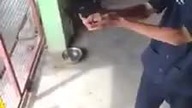 Dzieciak i pistolet
