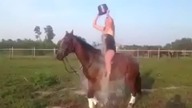 Ice Bucket Challenge na koniu