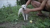  Ice Bucket Challenge w wykonaniu psa   