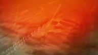  Killer Clown Prank
