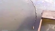 Ratuje psa z lodowatej wody