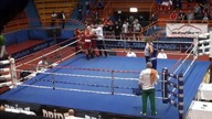 Gala bokserska