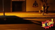 Snajper Prank
