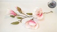 Jak zrobić kwiaty magnolii - Pomysły Plastyczne DiY