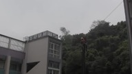 Wypadek podczas ścinania drzewa