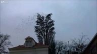 Piękno natury