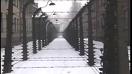 Jeniec Auschwitz M&oacute;wi Prawdę o Żydach