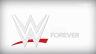 RAW 8/12/14 Fight-Poland com