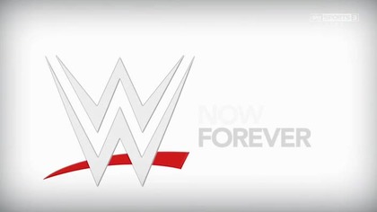 RAW 8/12/14 Fight-Poland com