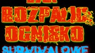 Spaliniarz kontra Poradnik 