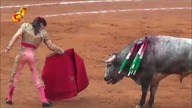 Kobieta torreador