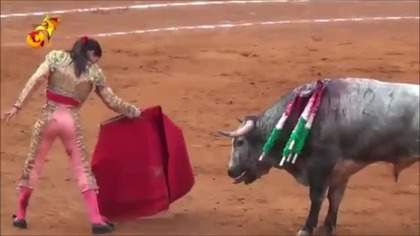 Kobieta torreador