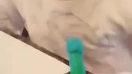 Według dziecka to delfin na kołach :)